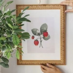 Jilly Box Strawberry Print unopened